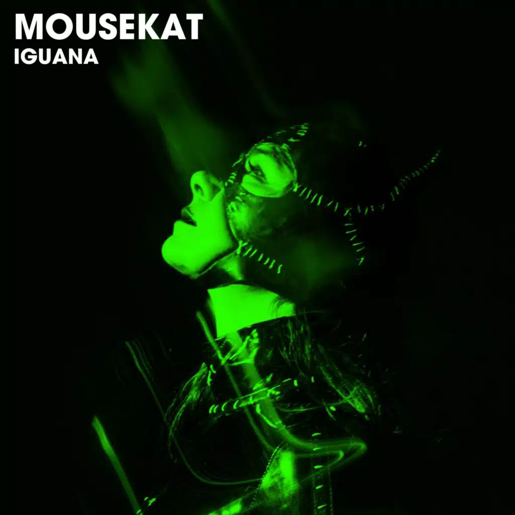 Mousekat