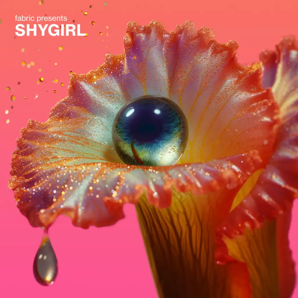 Club Shy (Intro) (feat. Shygirl) (Mixed)