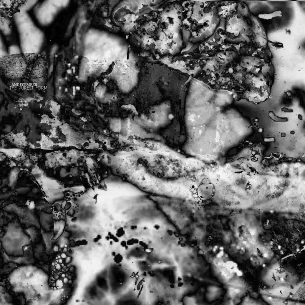Thy Blood Pollutes the Ocean [Nocturnal]