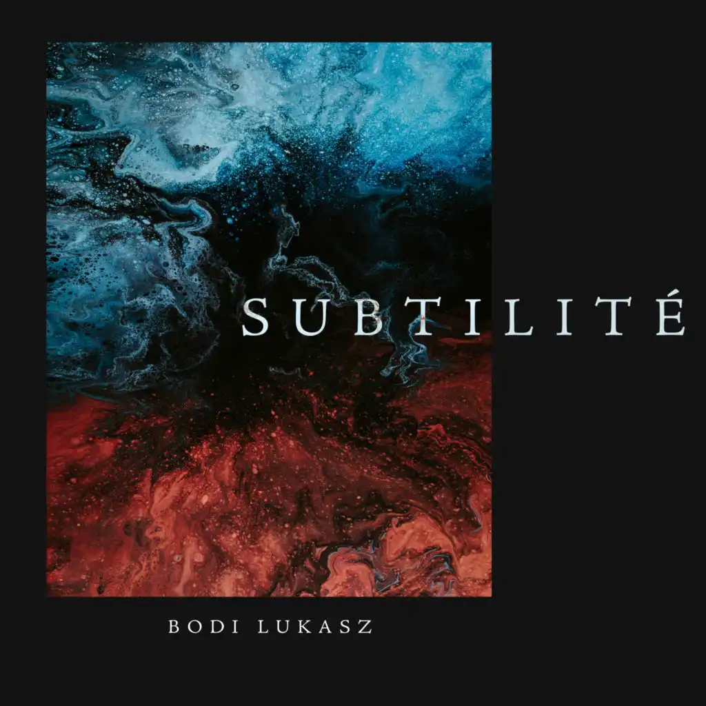 Subtilité