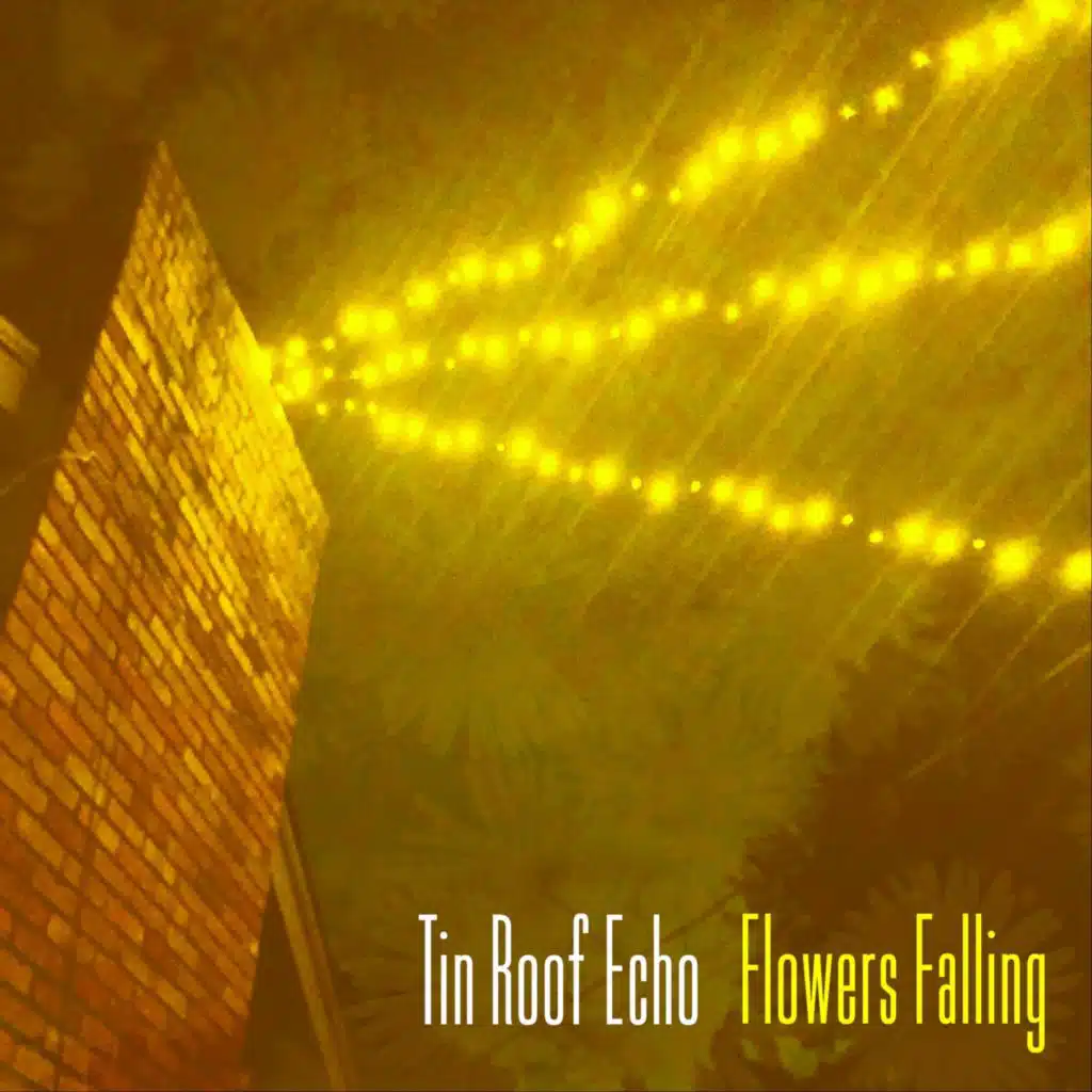 Tin Roof Echo