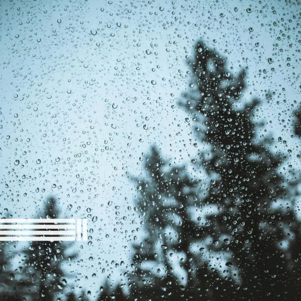 Sons Naturais Da Chuva