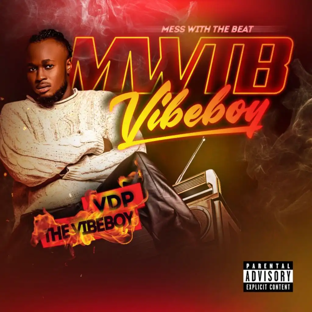 VDP The Vibeboy