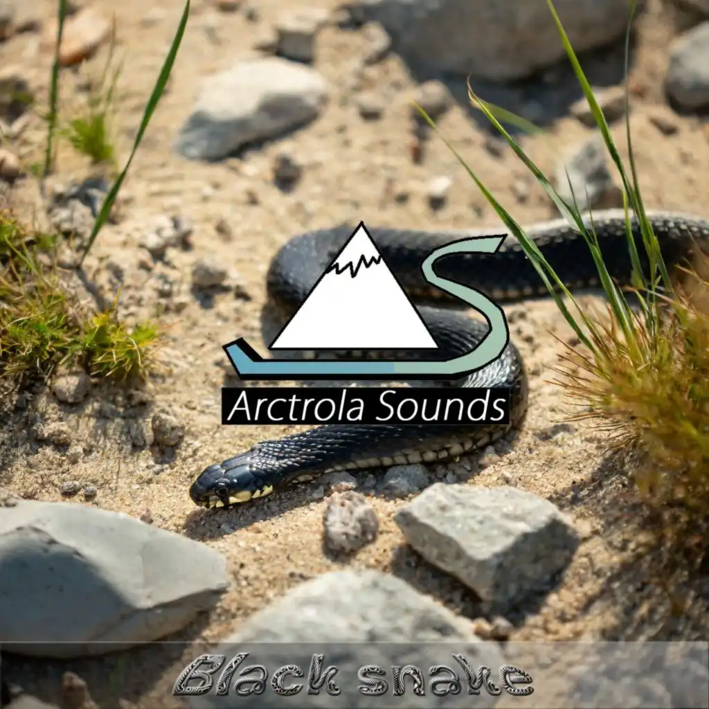 Arctrola Sounds