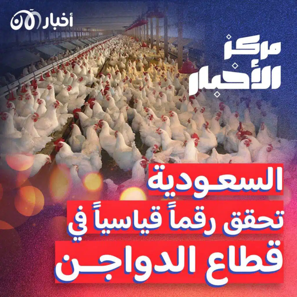 السعودية تحقق رقماً قياسياً في قطاع الدواجن