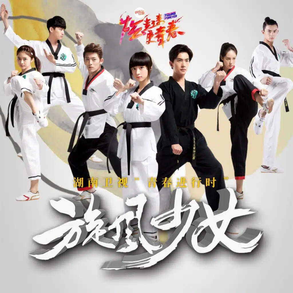 旋风少女 电视剧原声带