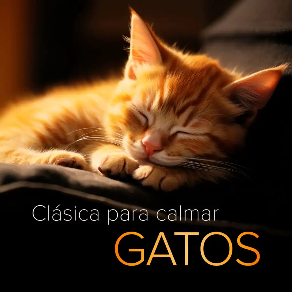 Clásica para calmar gatos