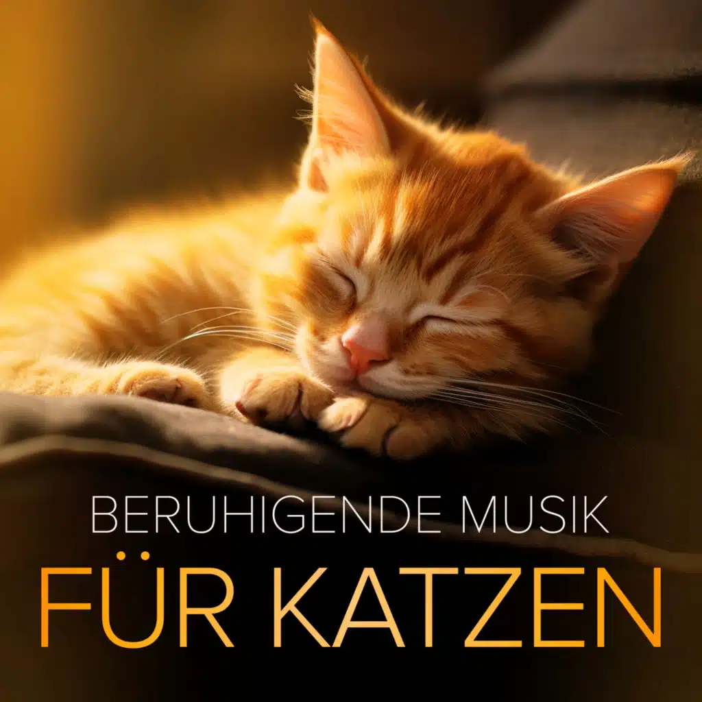 Gianni Schicchi, Act I: O mio babbino caro (Lauretta)