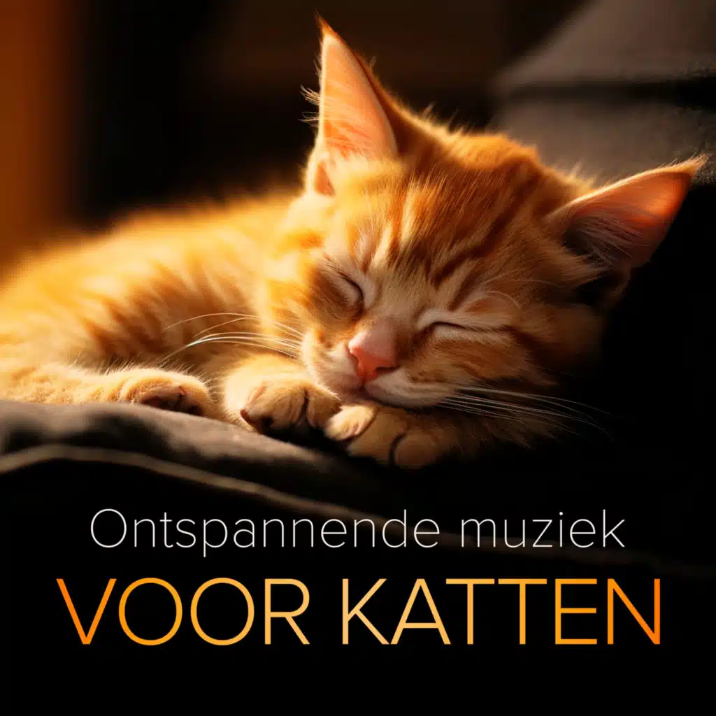 Concierto de Aranjuez: II. Adagio (Excerpt: Opening)