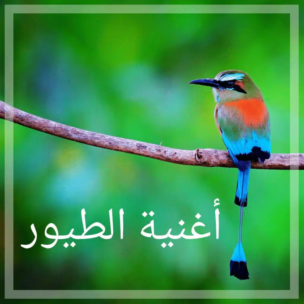 نزهة في الغابة