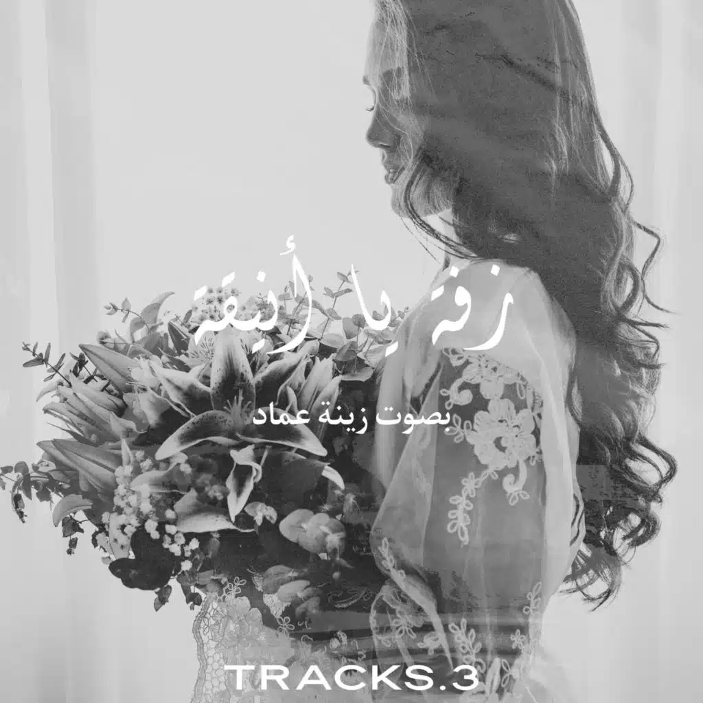زفة يا انيقة بصوت زينه عماد
