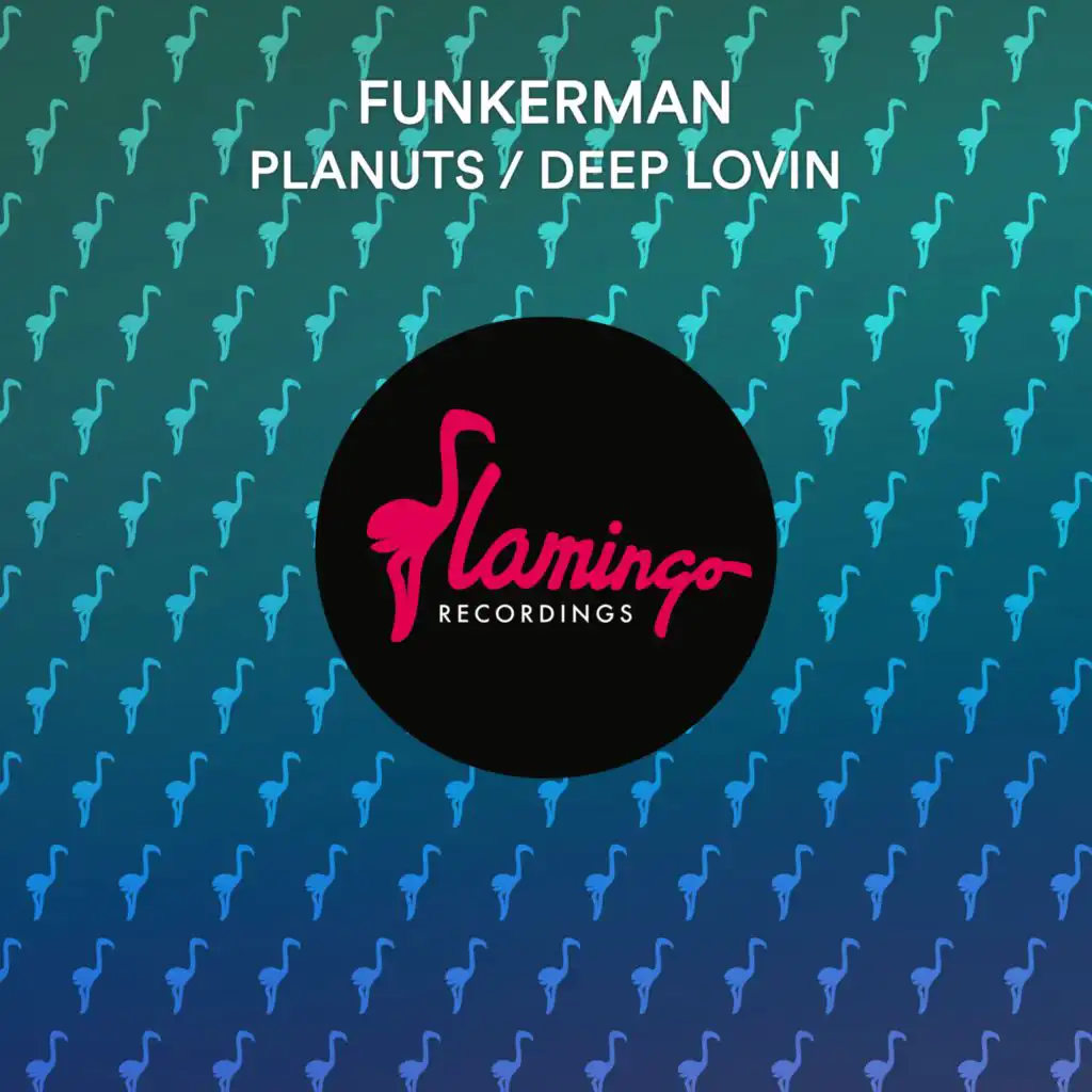 Planuts / Deep Lovin (feat. JoeDNA)