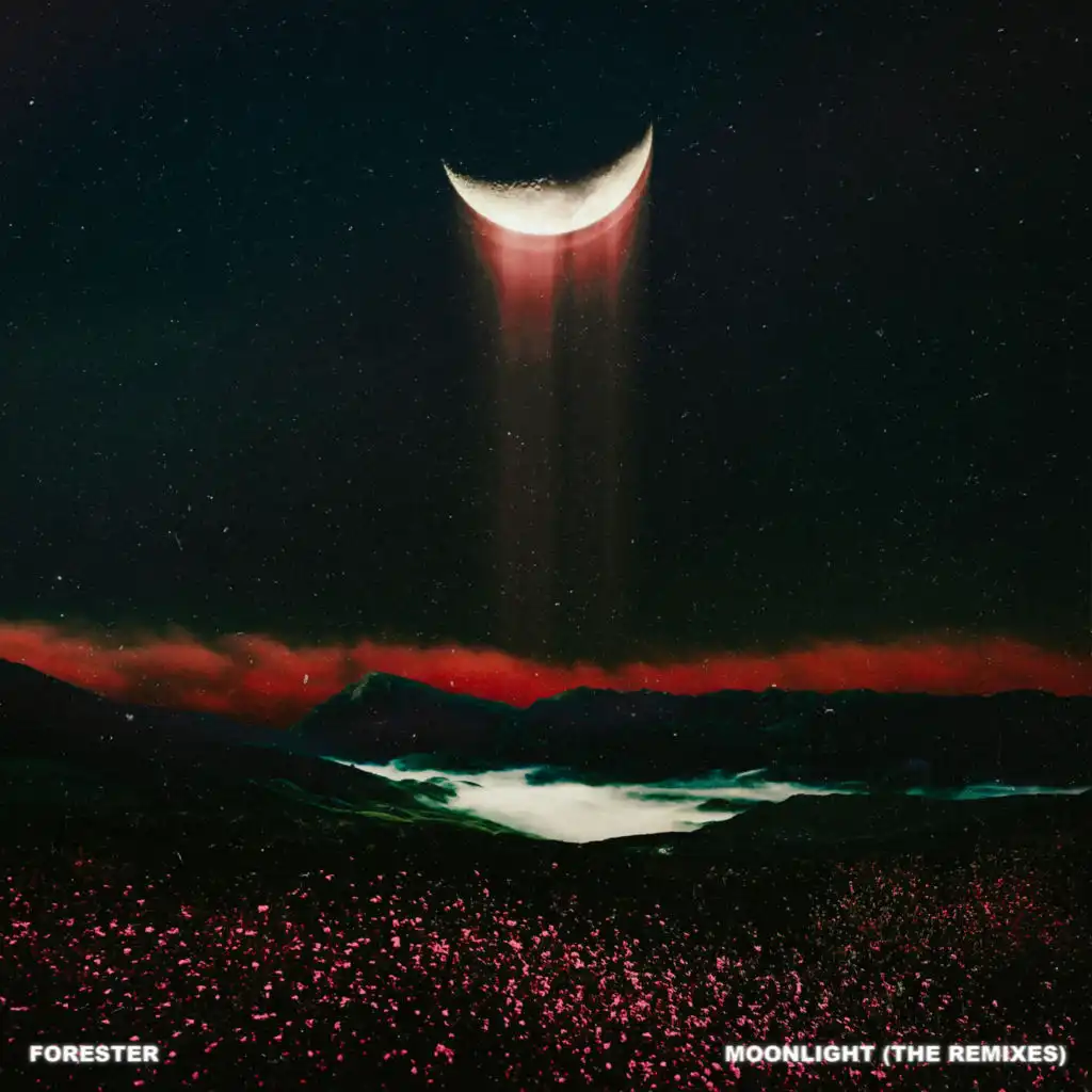 Moonlight (The Remixes)