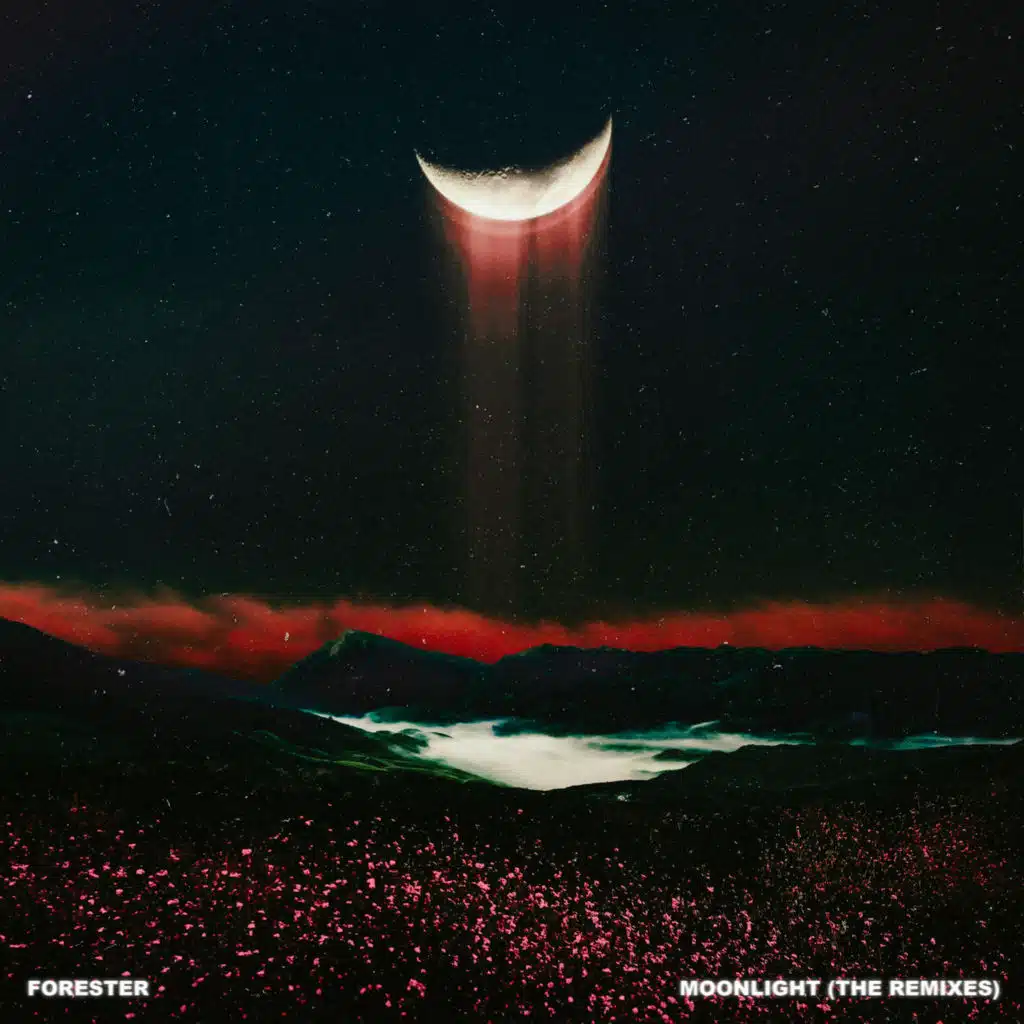 Moonlight (The Remixes)