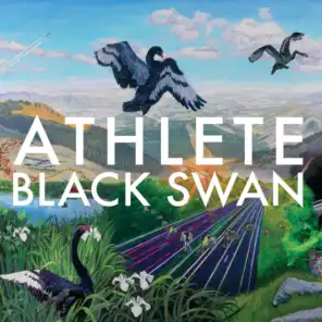 Black Swan (All BPs Version)