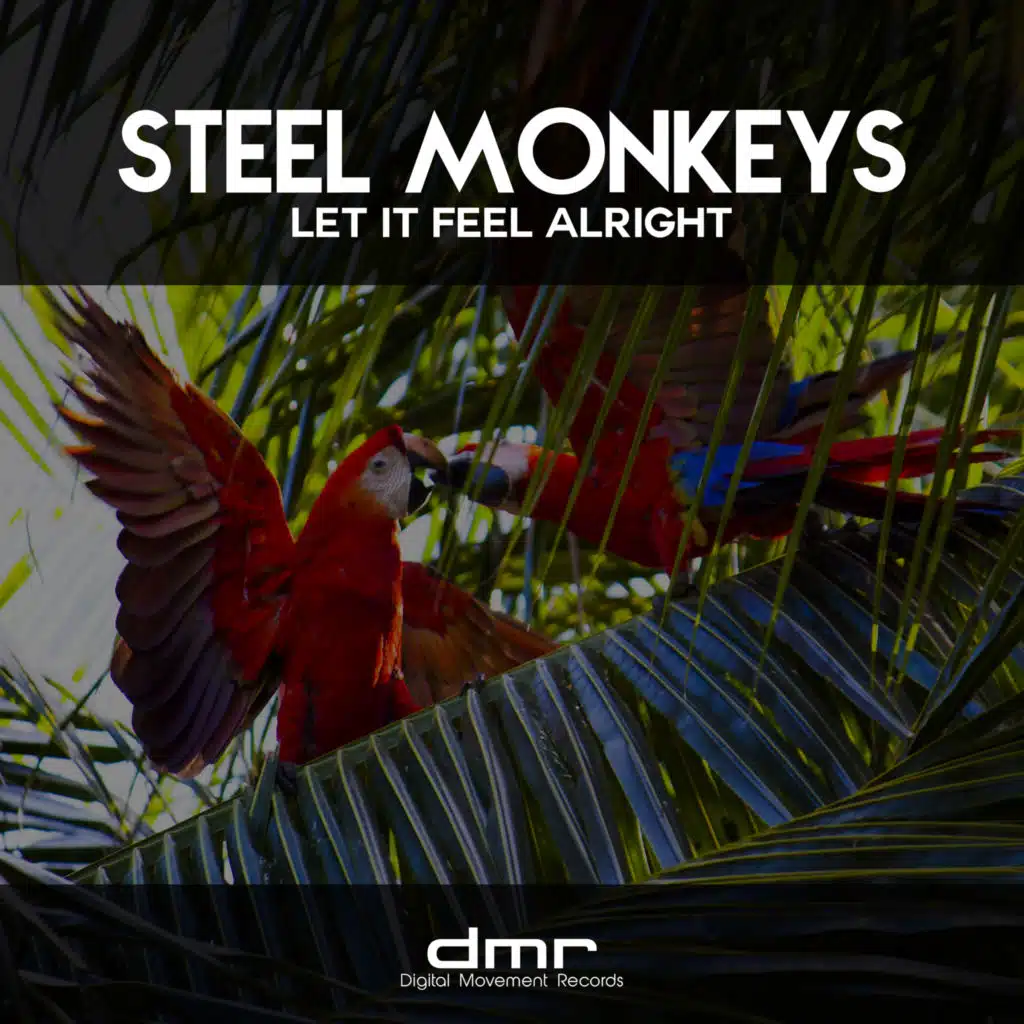 Steel Monkeys