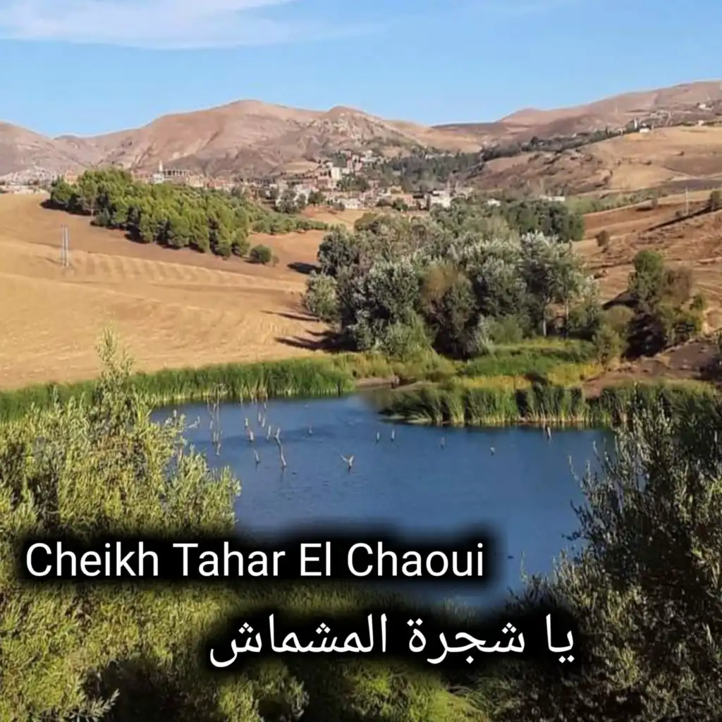 Cheikh Tahar El Chaoui