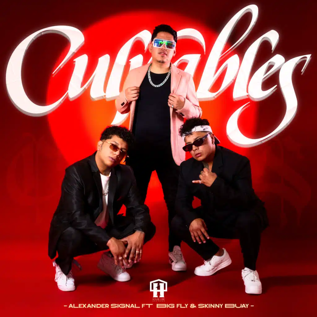 Culpables (feat. Skinny Buay & Big Fly)