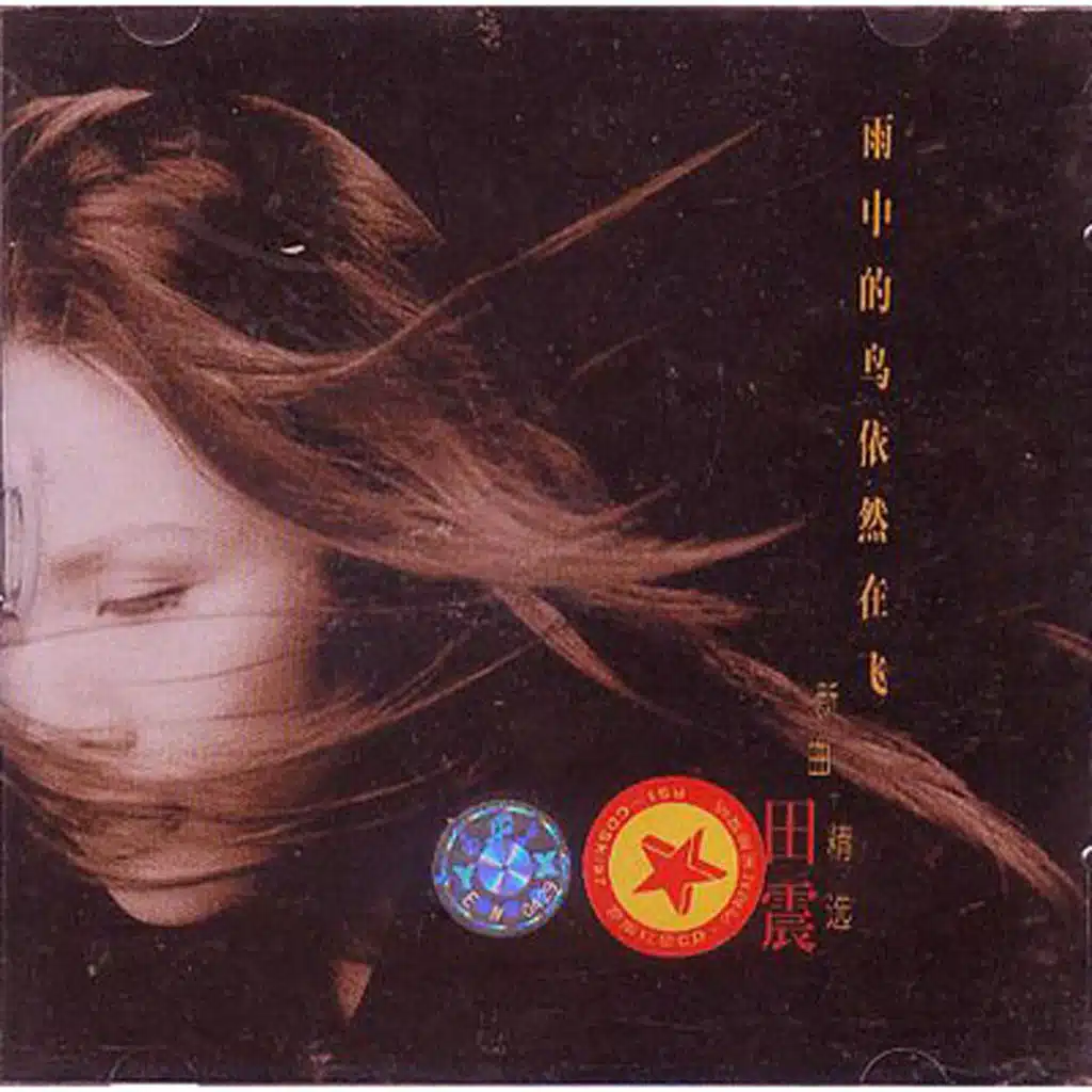 雨中的鳥依然在飛