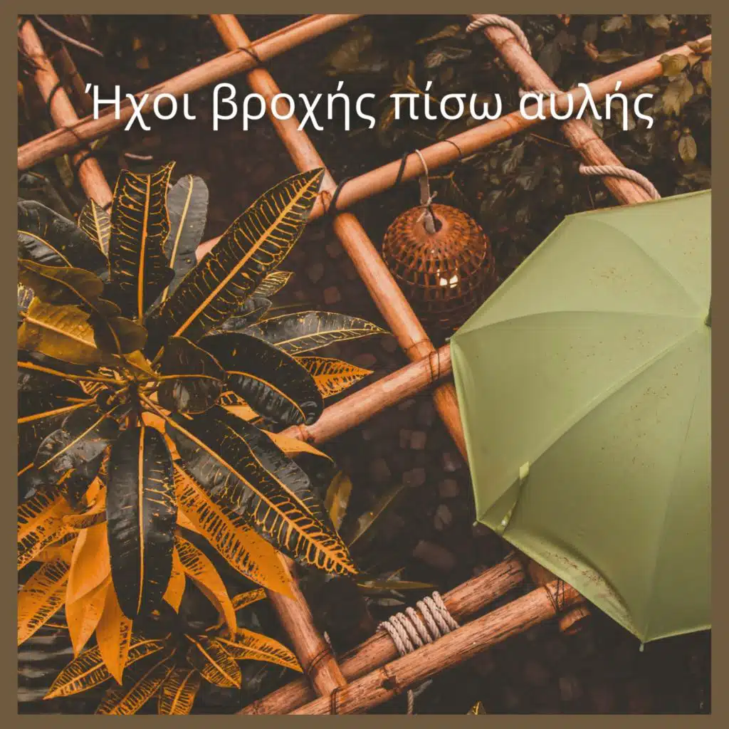 Ήχοι βροχής πίσω αυλής (06)