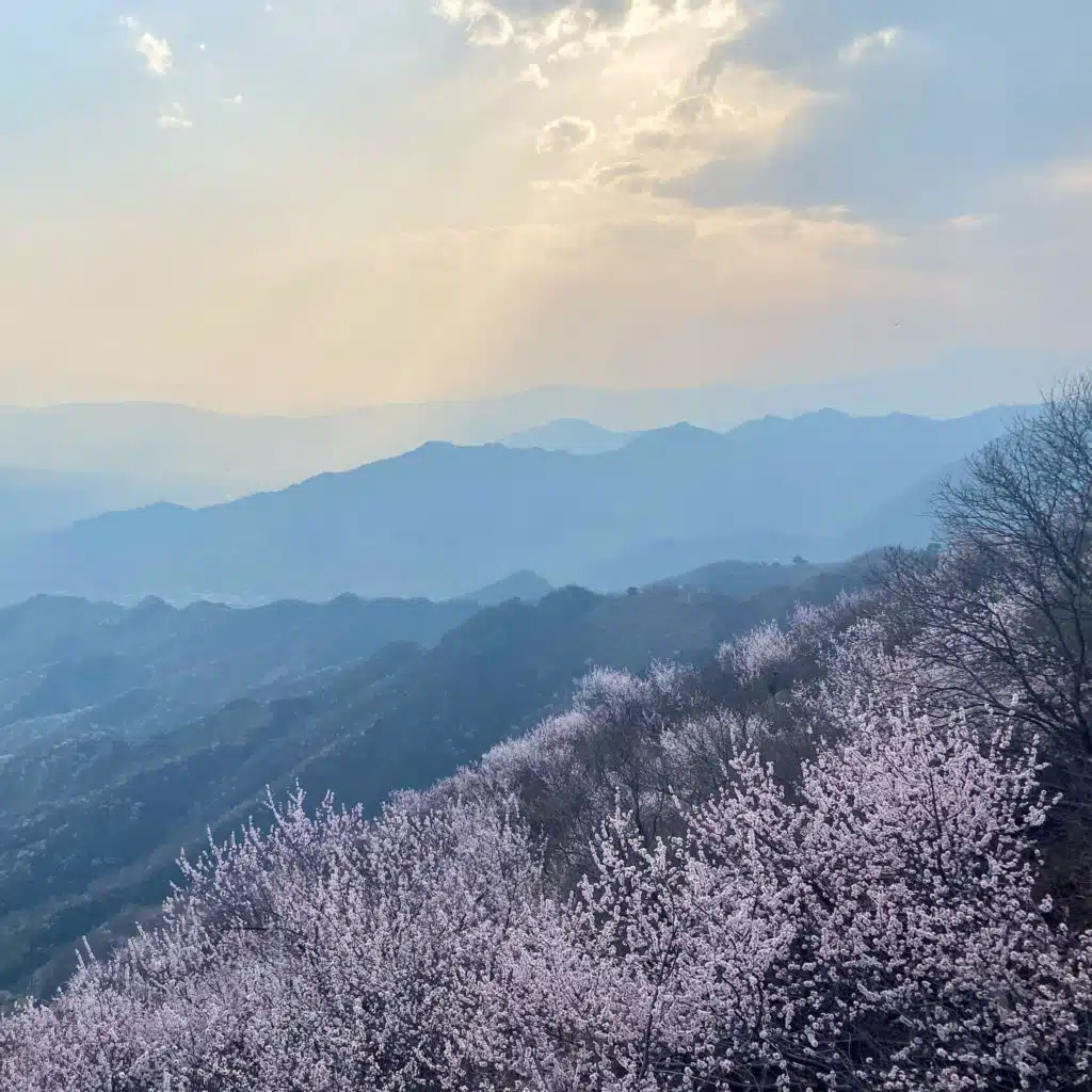 Dead Right (feat. Kiing Rose)