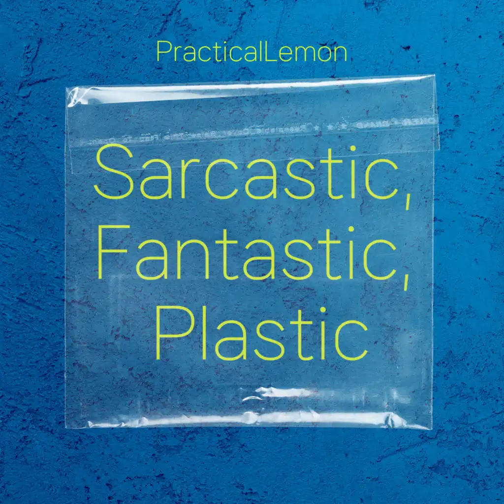 Sarcastic, Fantastic, Plastic