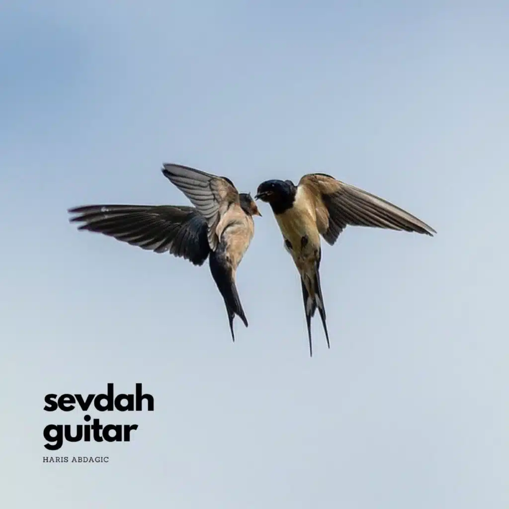 U Stambolu, na Bosforu