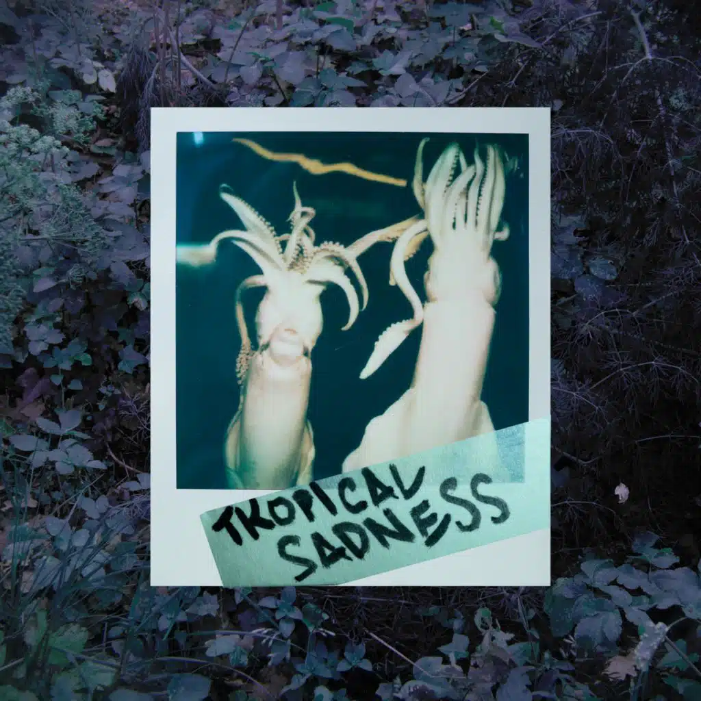 Tropical Sadness