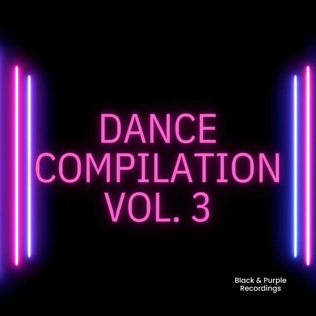 Dance Compilation Vol. 3