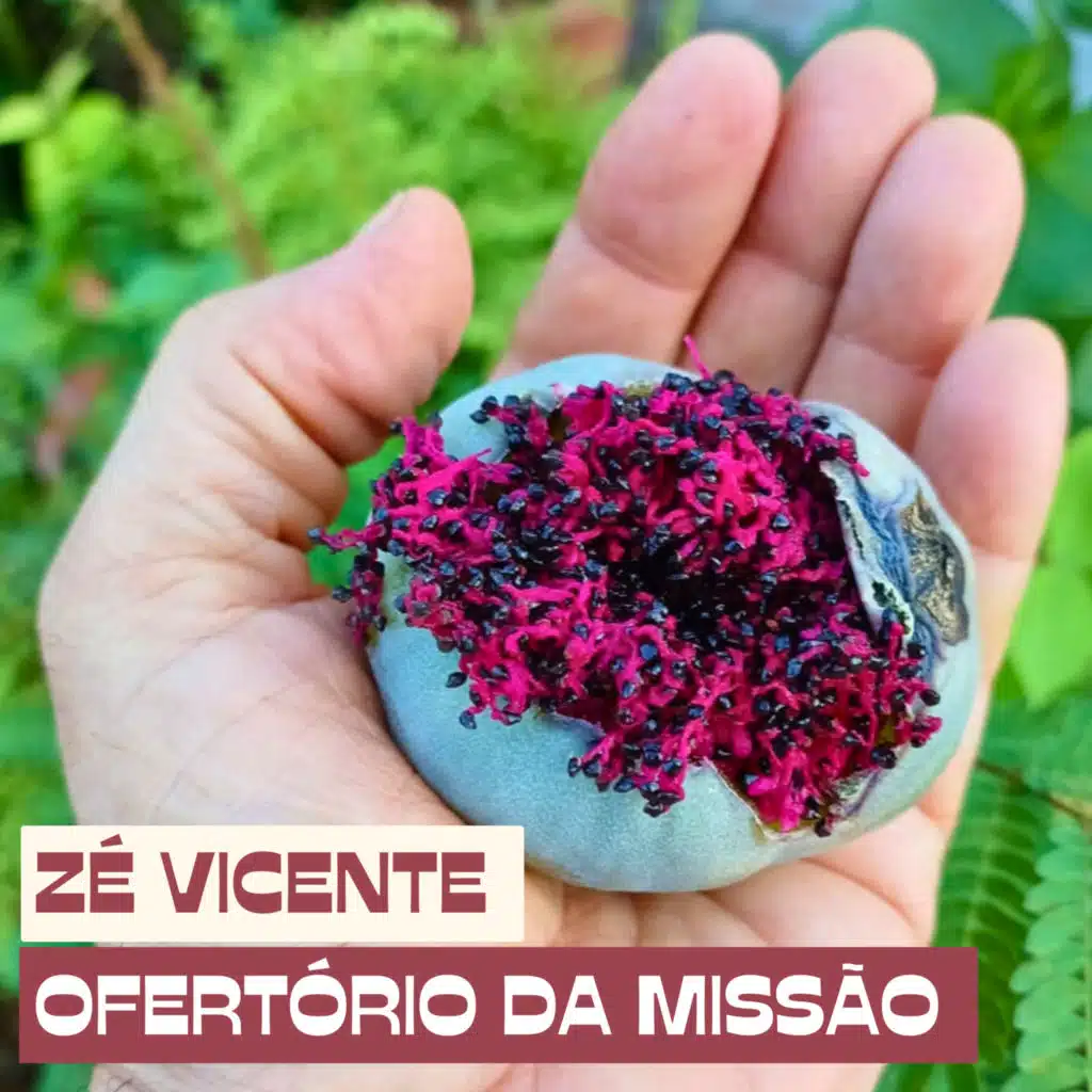 Ofertório da Missão