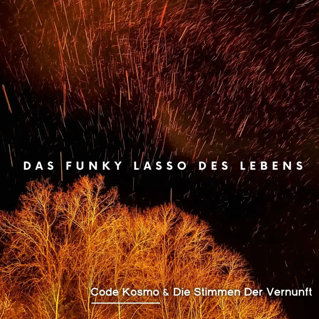 In der Ruhe der Nacht