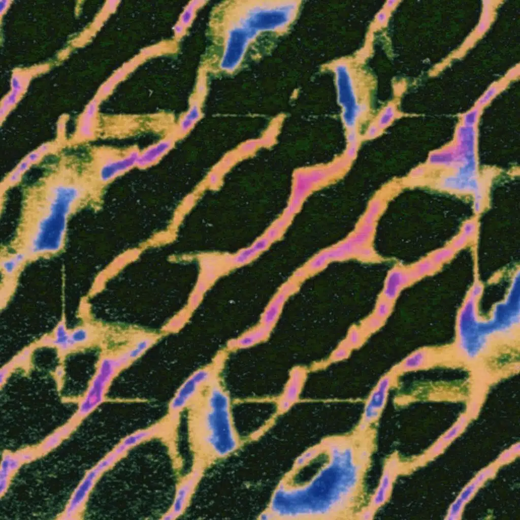 Last Breath / Decay With You