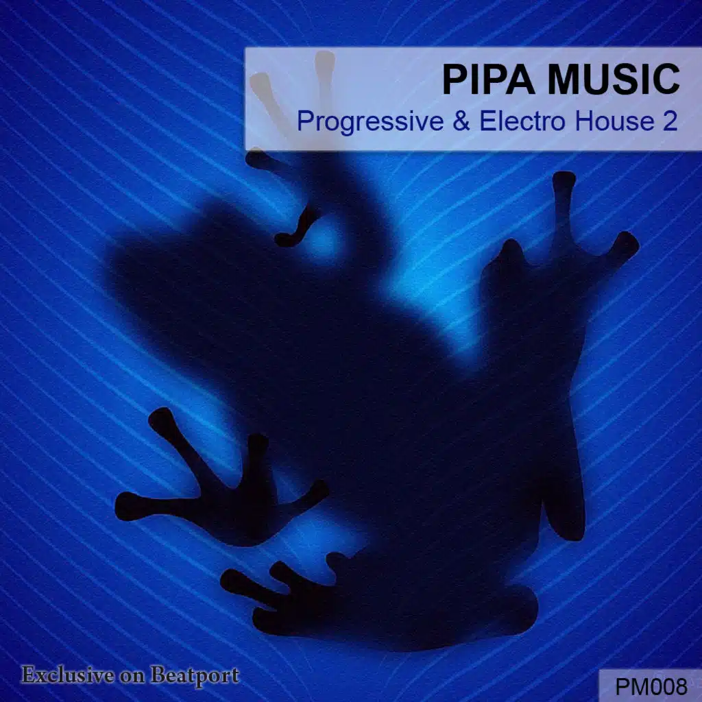 Progressive & Electro House 2