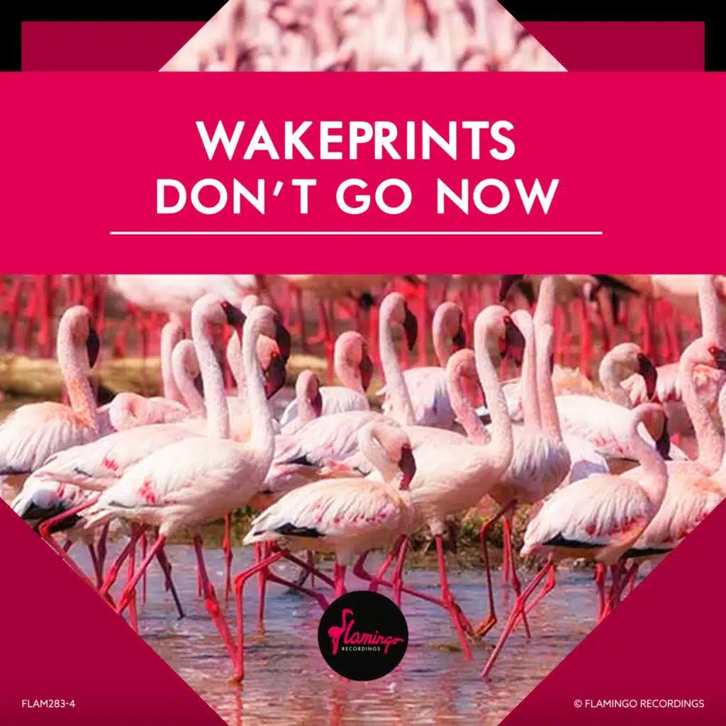 Wakeprints
