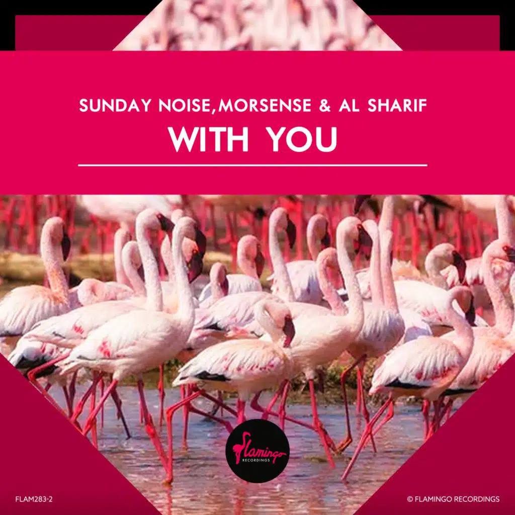 Sunday Noise, Moresense & Al Sharif