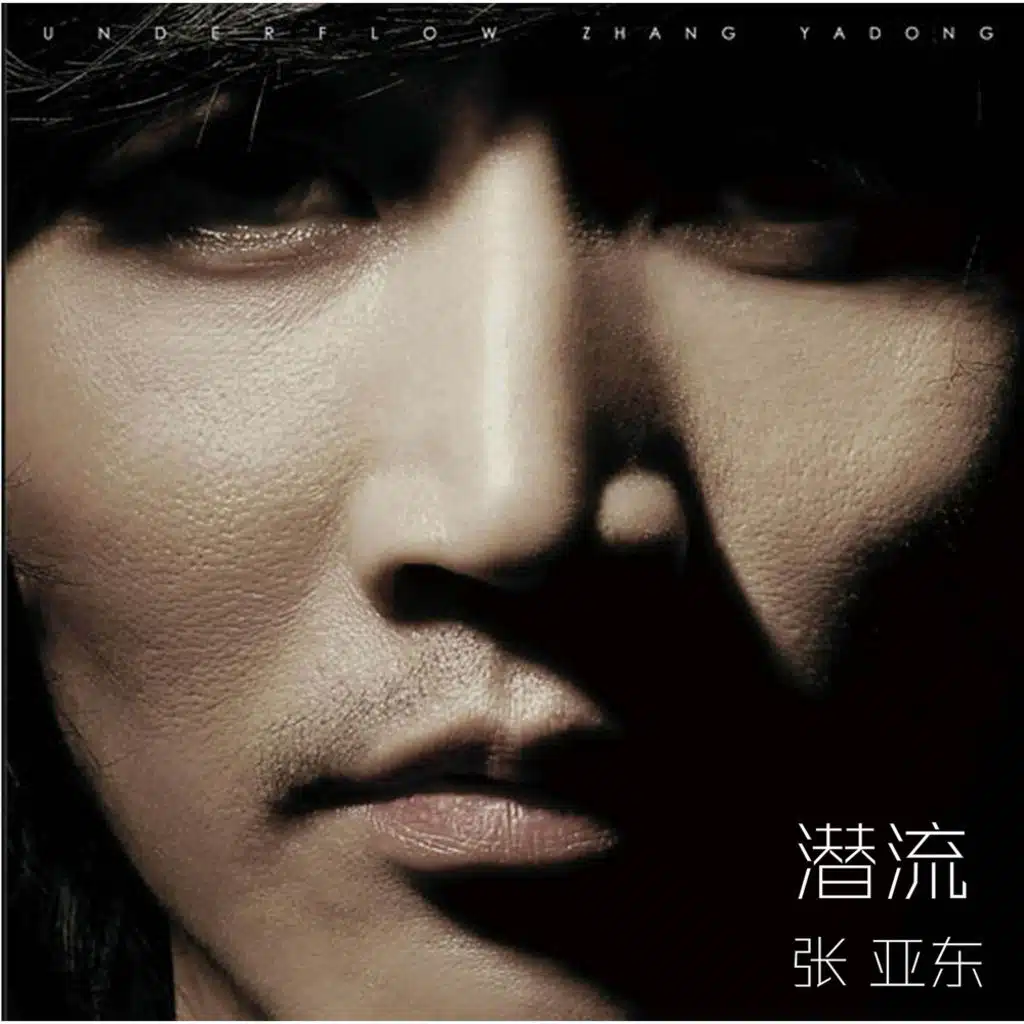 潛流（張亞東作品集）