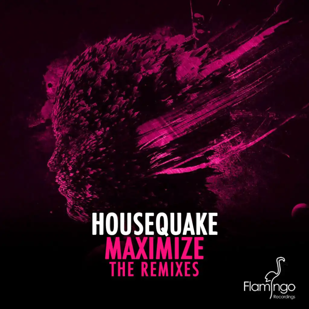Maximize (The Remixes)