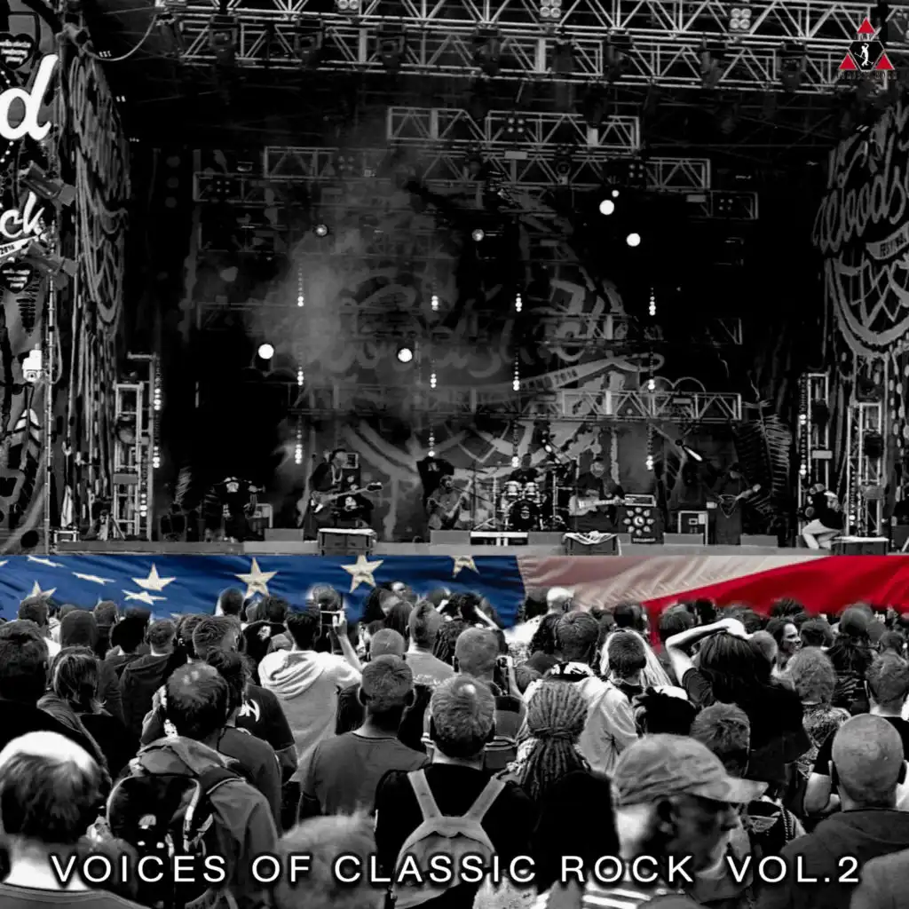 Voices Of Classic Rock Vol. 2