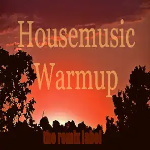 Housemusic Warmup (Organic Deephouse Sounds Meets Vibrant Techhouse Rhythms and Inspiring Proghouse Music Tunes Compilation in Key-Db on the Remix Label and Paduraru Megamix)
