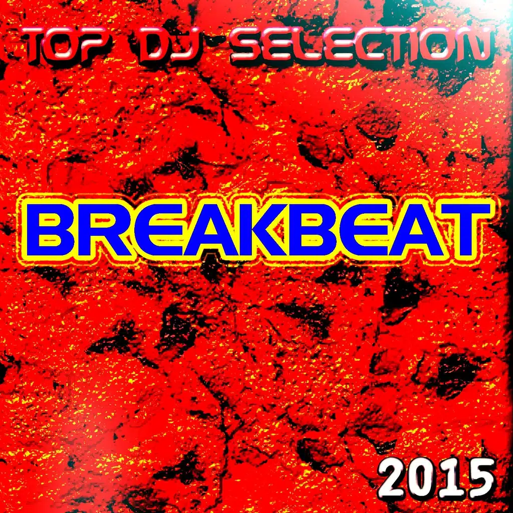 Top DJ Selection Breakbeat‎ 2015