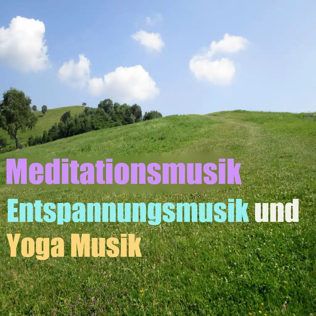 Meditationsmusik (Entspannungsmusik und Yoga Musik, Vol. 5)