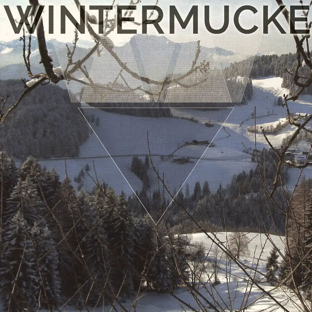 Wintermucke, Vol. 1 (Compilation of Finest Chill out & Ambient Music)