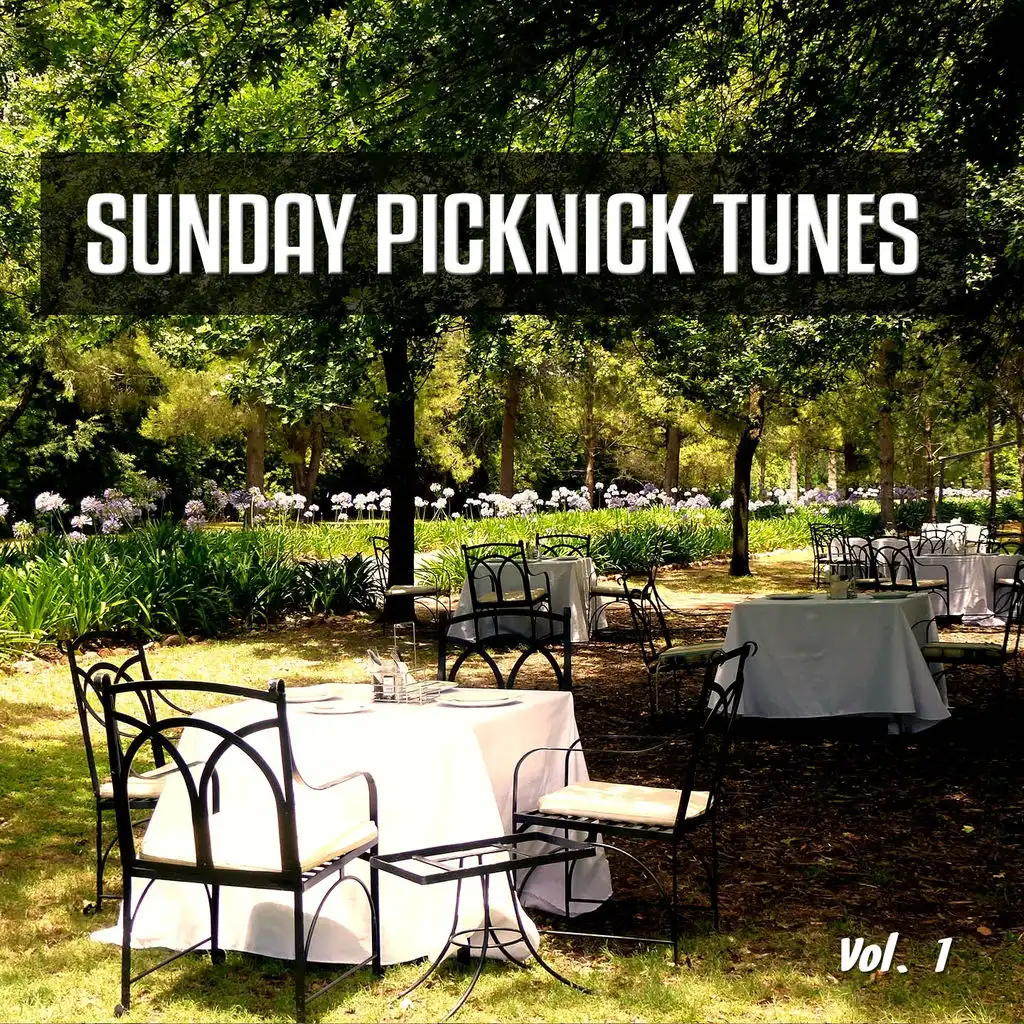 Sunday Picknick Tunes, Vol. 1 (Smooth and Jazzy Weekend Feeling)