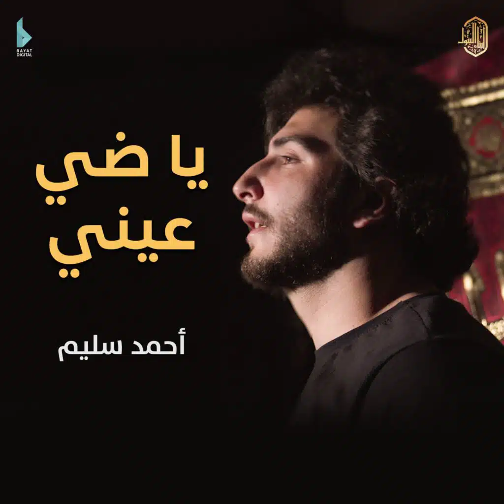 جيتك محتاجة نظرة (مع أحمد سليم)