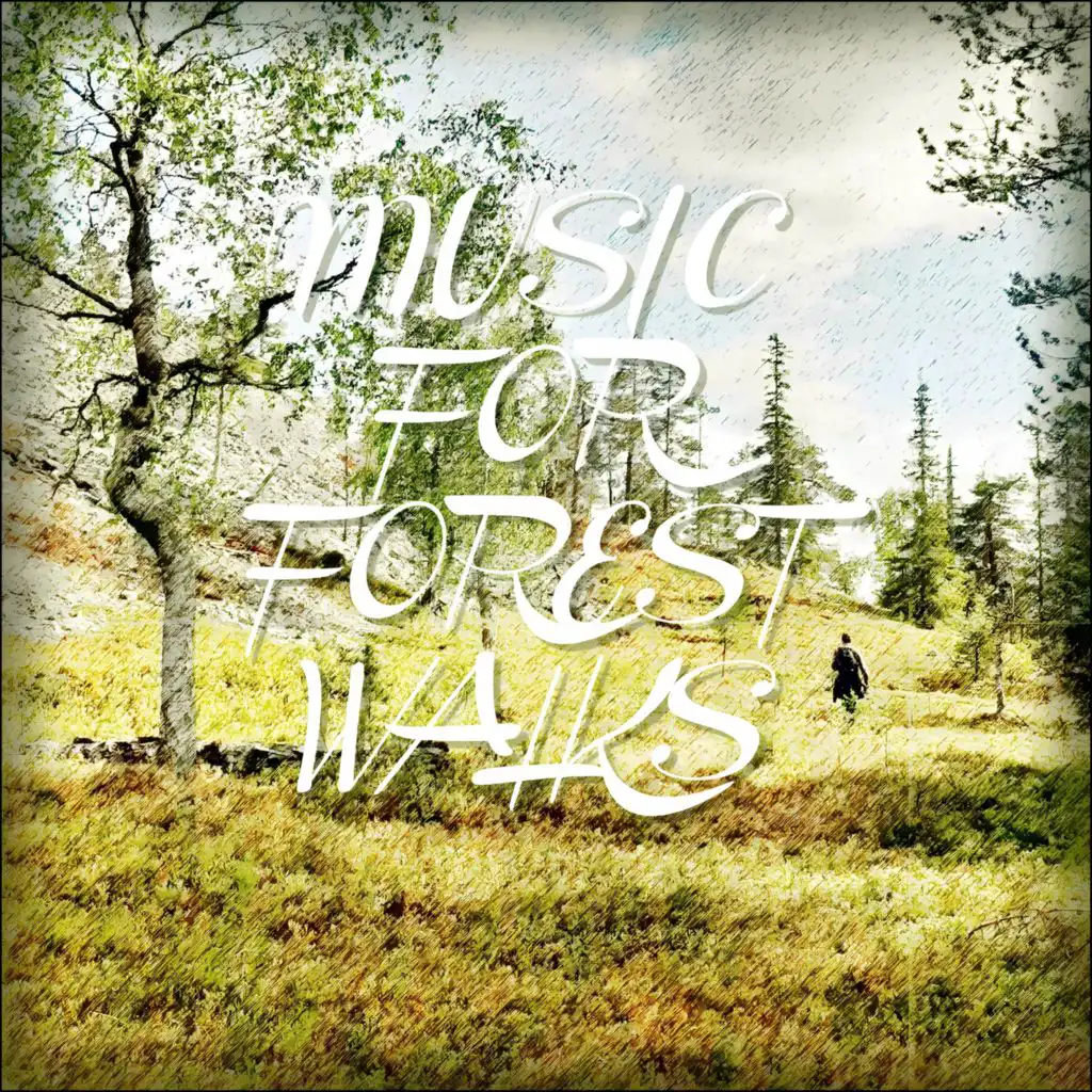 Music For Forest Walks