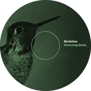 Humming Birds (Ugly Drums Acid Dub)