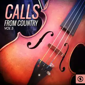 Calls from Country, Vol. 5