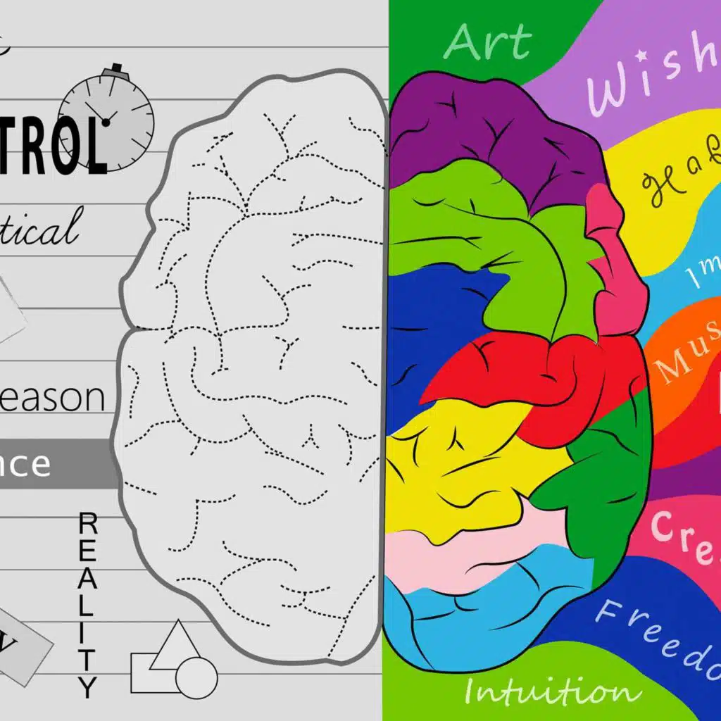 The World Within You