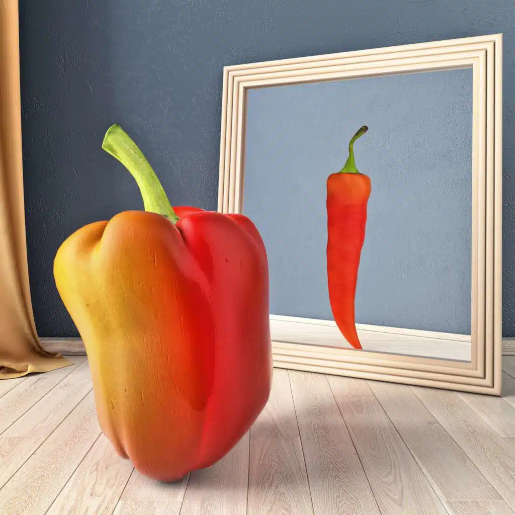 Look in the Mirror of Your Heart