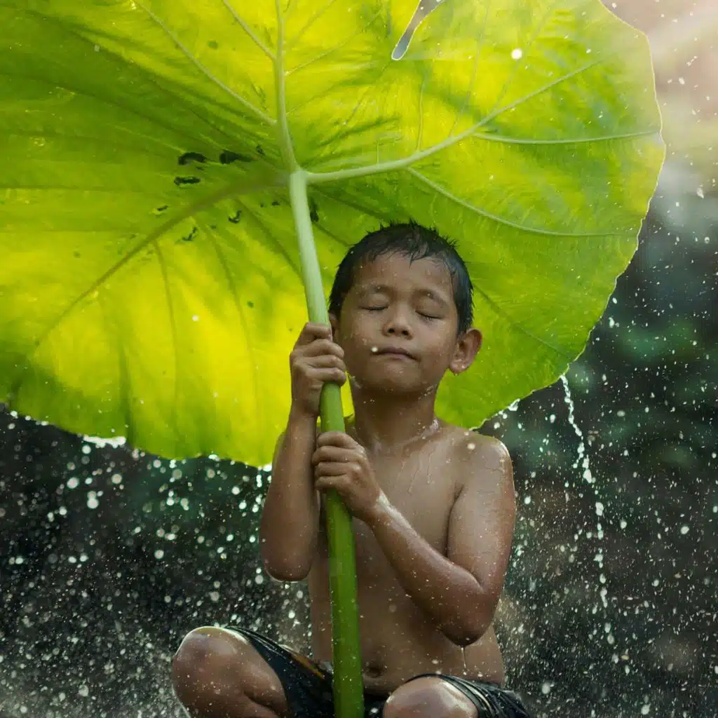 Meditation - Peace Begins With Me